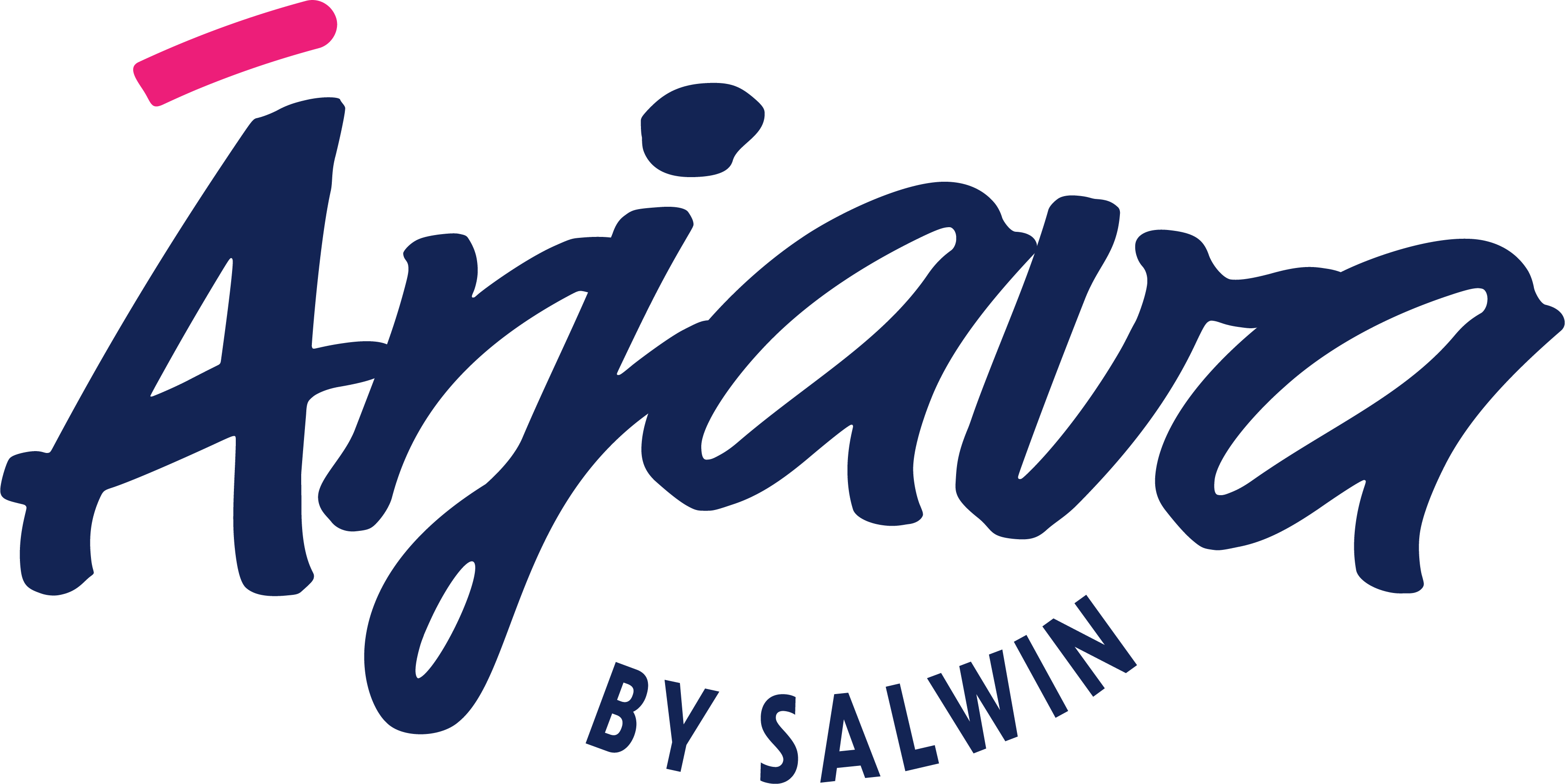 Arjava by Salwin logo